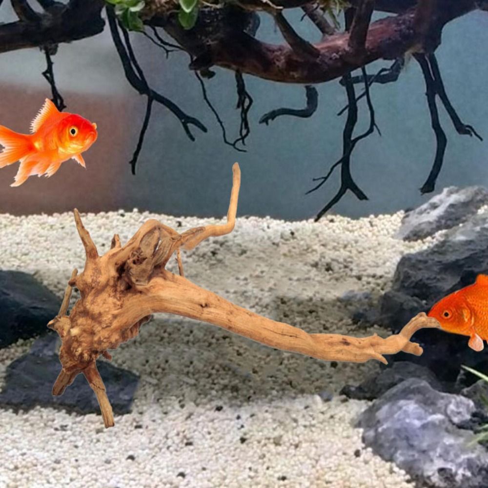 ไม้ลอยน้ำขนาดใหญ่ 20-25 ซม. สำ - Planted Aquarium Bowl บทวิจารณ์และราคา