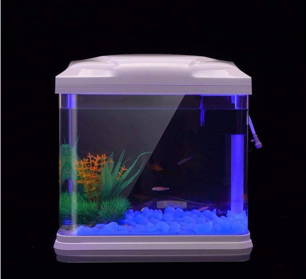 ถังปลา Rocks Glow Blue Pebbles - Aquarium Planted บทวิจารณ์และราคา