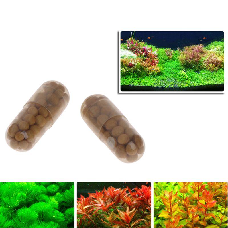 QX2E Aquarium Live Plant ปุ๋ยร - Planted Aquarium Best Fish บทวิจารณ์และราคา