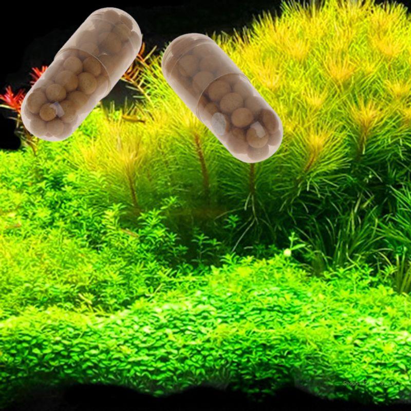 QX2E Aquarium Live Plant ปุ๋ยร - Planted Aquarium Best Fish บทวิจารณ์และราคา