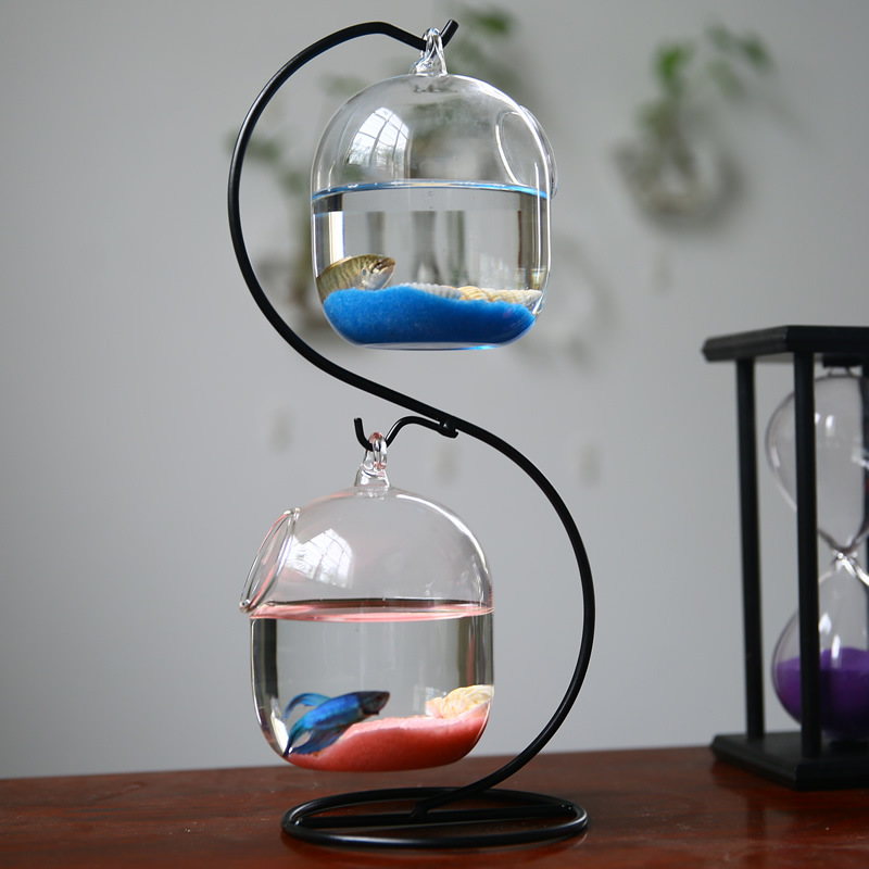 Creative Double-Deck ระงับโปร่ - Planted Aquarium Bowl บทวิจารณ์และราคา