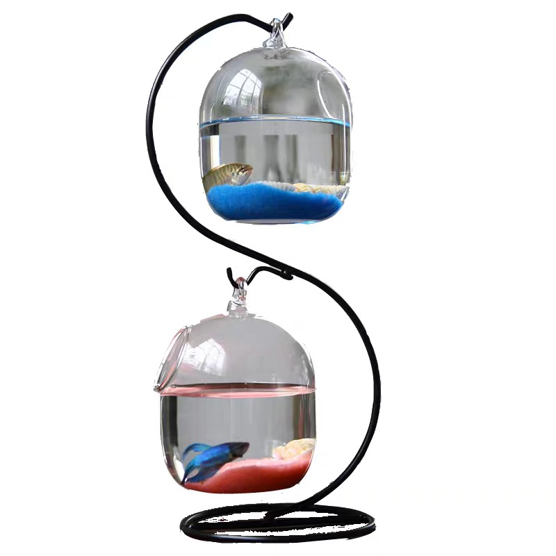 Creative Double-Deck ระงับโปร่ - Planted Aquarium Bowl บทวิจารณ์และราคา