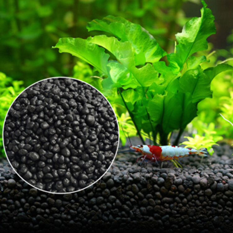 พิพิธภัณฑ์สัตว์น้ำเมล็ดพืชดิน  - Planted Aquarium Freshwater บทวิจารณ์และราคา