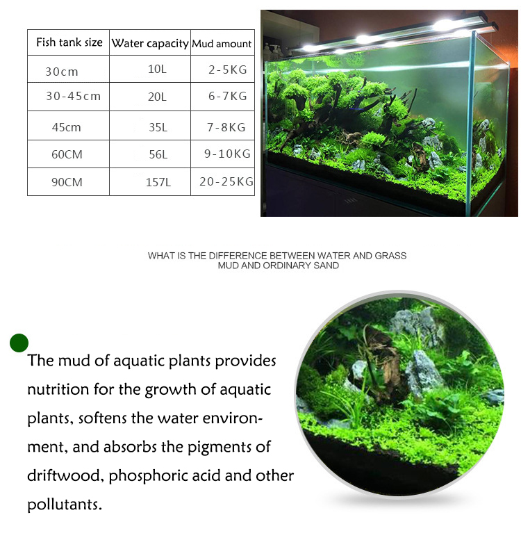 พิพิธภัณฑ์สัตว์น้ำเมล็ดพืชดิน  - Planted Aquarium Freshwater บทวิจารณ์และราคา