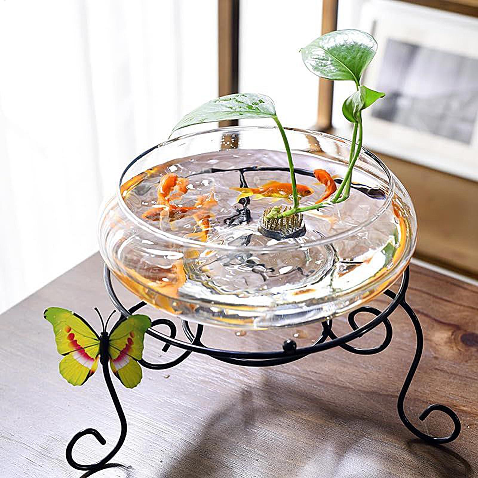ชามแก้วสำหรับปลา ชามแก้วขนาดให - Planted Aquarium Bowl บทวิจารณ์และราคา