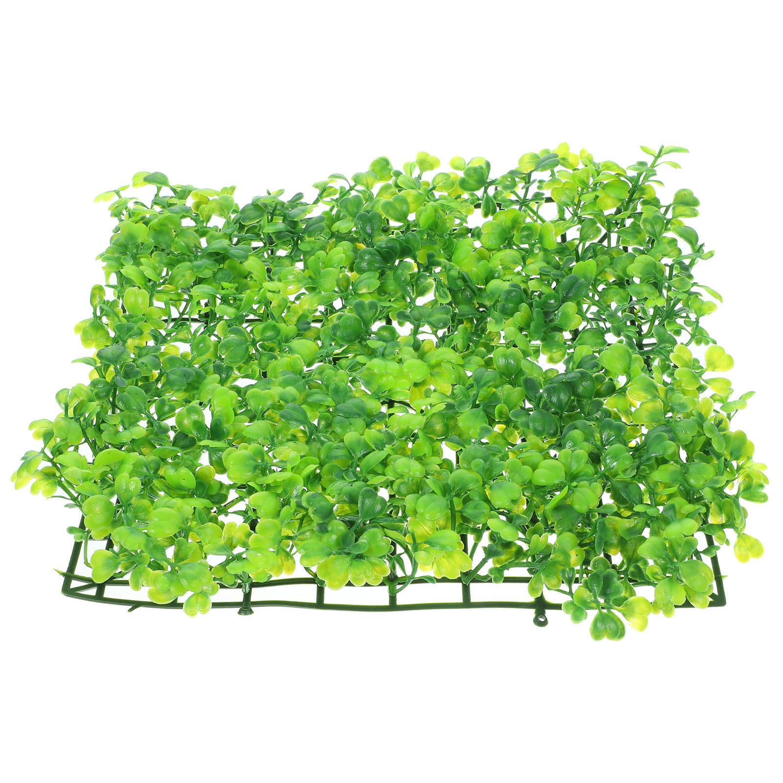 หญ้าปลอมสำหรับตู้ปลา ต้นไม้พลา - Planted Aquarium Freshwater บทวิจารณ์และราคา