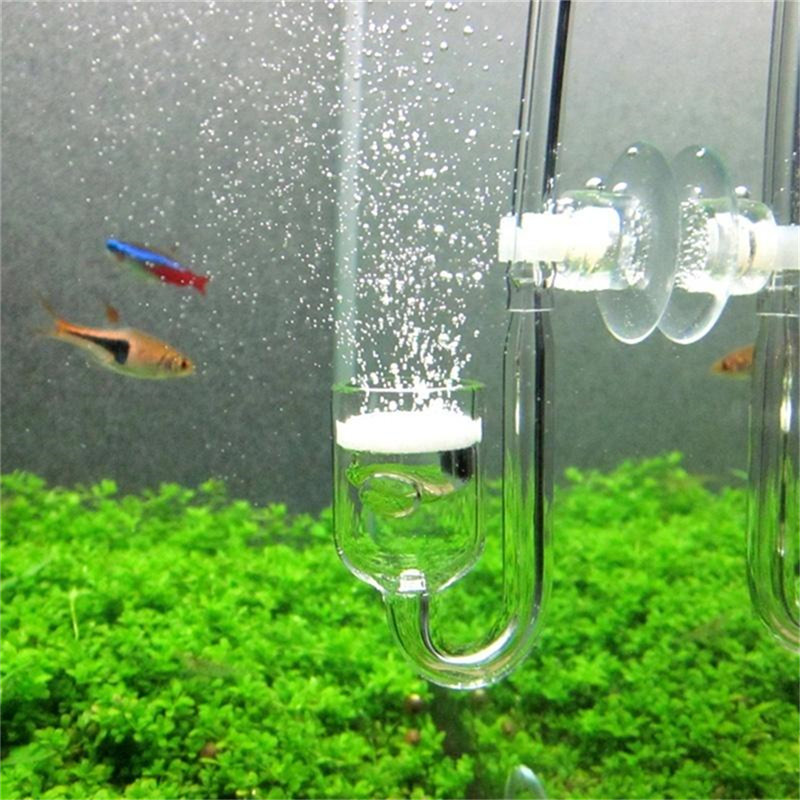 เครื่องกระจายก๊าซคาร์บอนไดออกไ - Aquarium Planted Tank Substrate บทวิจารณ์และราคา