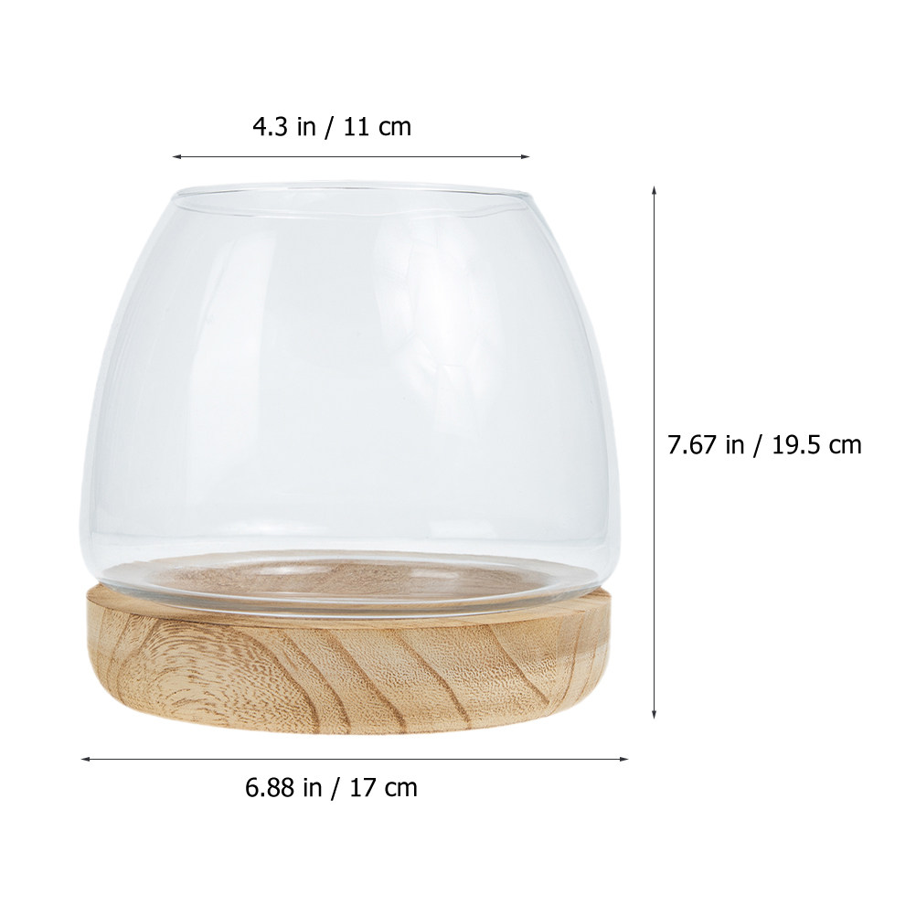 ชุดกระถางปลูกพืชไฮโดรโพนิกส์ฐา - Planted Aquarium Bowl บทวิจารณ์และราคา