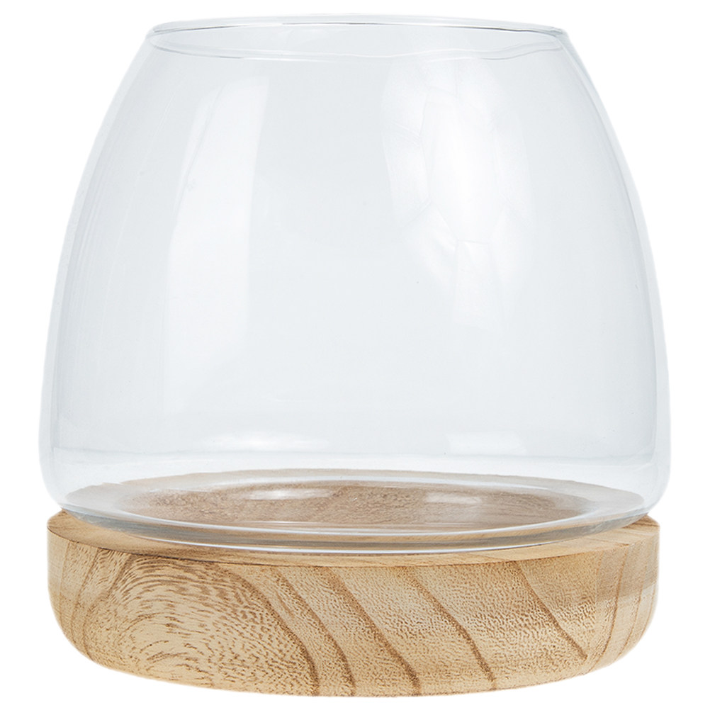 ชุดกระถางปลูกพืชไฮโดรโพนิกส์ฐา - Planted Aquarium Bowl บทวิจารณ์และราคา
