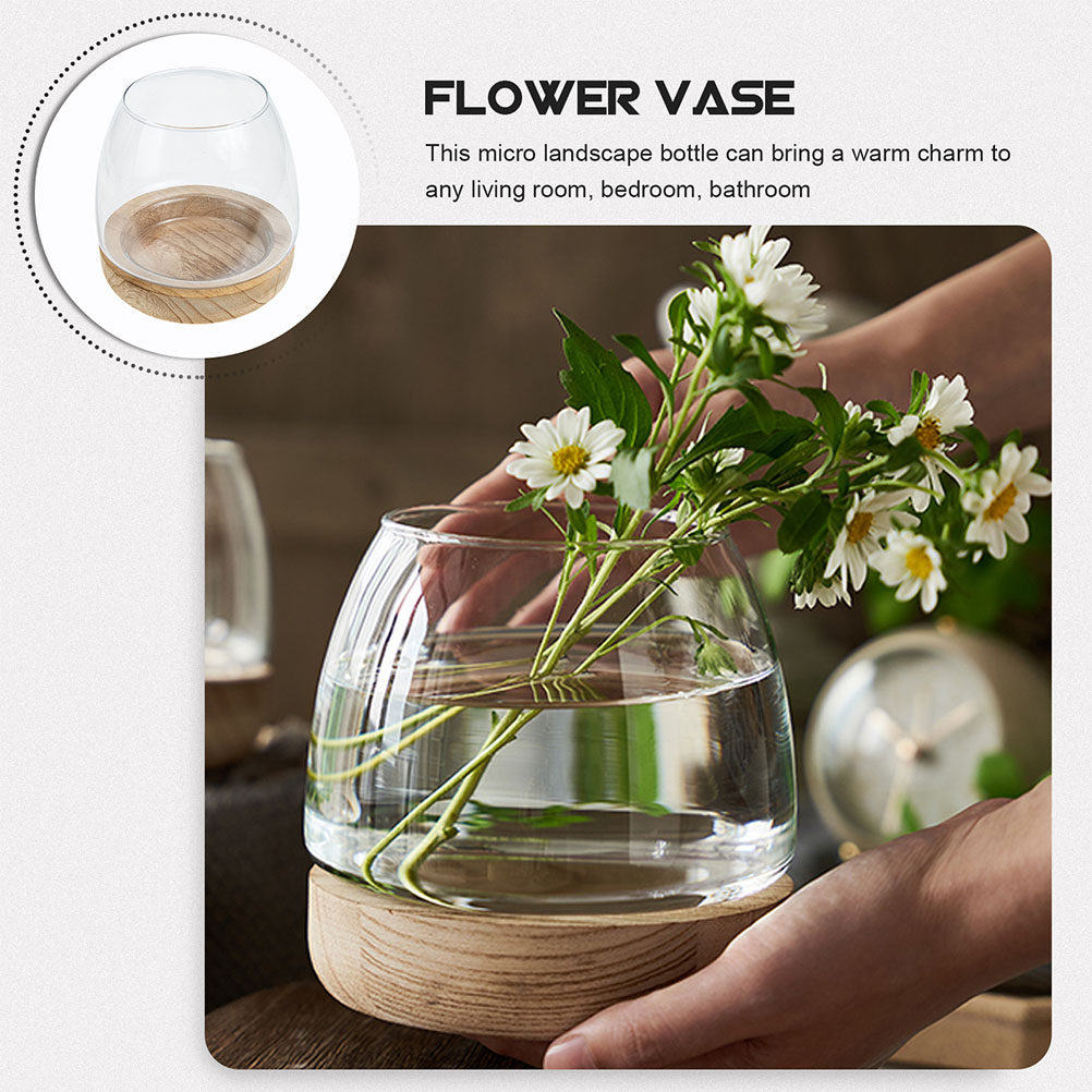 ชุดกระถางปลูกพืชไฮโดรโพนิกส์ฐา - Planted Aquarium Bowl บทวิจารณ์และราคา