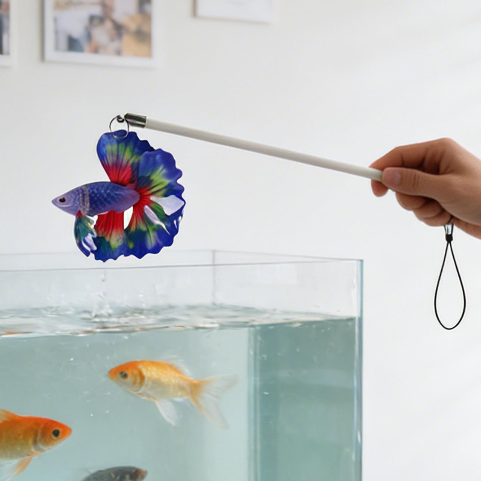 ไม้ฝึกปลา ของเล่นฝึกสมรรถภาพทา - Planted Aquarium For Beginners บทวิจารณ์และราคา